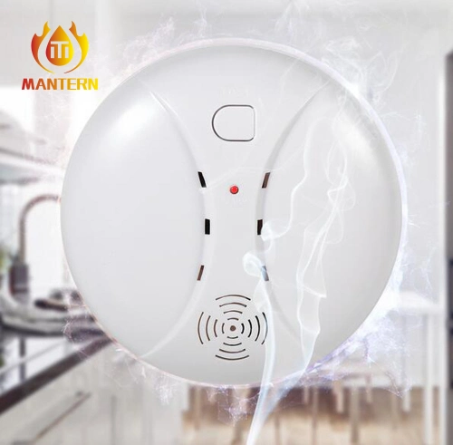 Battery Operated Electrochemical Co Carbon Monoxide Alarm Detector